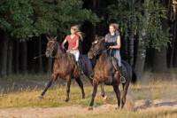 Horseback Riding to La Fortuna Waterfall