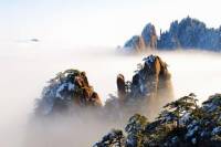 Huangshan 2-Day Tour Including the Yellow Mountain and Hongcun Village