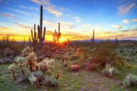 Hummer Night Tour in the Sonoran Desert