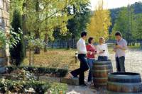 Hunter Valley Wine Tasting Day Tour from Sydney