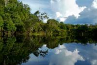 Iquitos Round-Trip Transfer: Cruise Port to Iquitos Hotels