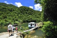 Iriomote Island and Yubu Island Tour with Optional Underwater Boat Tour