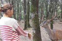 Is Cannoneris Nature Reserve Walking Tour