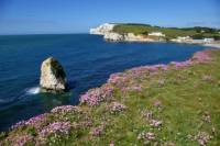 Isle of Wight Overnight Tour from London
