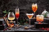 Italian Cocktail and Liquor Tasting in the Evening