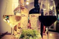 Italian Experience: Wine and Food Tasting in Rome