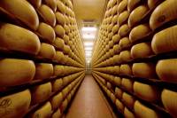 Italian Food Experience in Bologna: Parmigiano Reggiano Factory Visit, Wine and Vinegar Tasting and Lunch