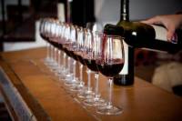 Italian wine tasting experience