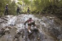 Jaco Rainforest Adventure: Waterfall Climb, Ziplining and Rappelling Tour
