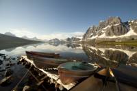 Jasper to Lake Louise One-Way Tour