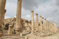 Jerash Half Day Tour from Dead Sea