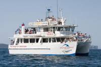 Jervis Bay Day Trip from Sydney Including Dolphin Watching Cruise