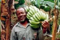 John's Hall Montego Bay Adventure Tour