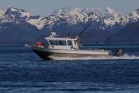 Juneau Shore Excursion: Private Fishing Trip