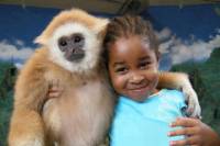 Jungle Island Miami VIP Safari Tour