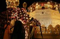 Kandy Day Tour