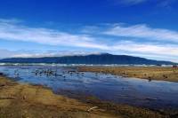 Kapiti Gold Coast Tour from Wellington