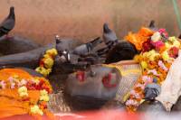 Kathmandu Day Trip: Budhanilkantha and Hike Through Shivapuri National Park