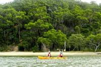 Kayak and Bushwalking Day Tour from the Gold Coast Including Currumbin Wildlife Sanctuary