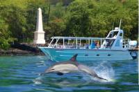 Kealakekua Bay Snorkel Tour