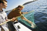Key West Backcountry or Flats Fishing Charter