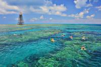 Key West Schooner Sail and Reef Snorkel with Lunch