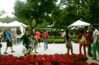Kifissia district and Goulandris Natural History Museum Half-Day trip