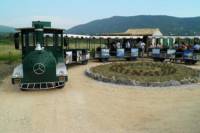 Konavle Valley Wine Tour from Dubrovnik with Train Ride