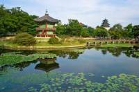 Korean Palace and Temple Tour in Seoul: Gyeongbokgung Palace and Jogyesa Temple