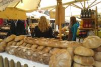 Krakow Evening Food Walking Tour