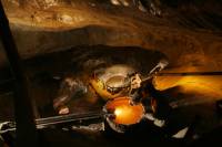 Krakow Super Saver: Wieliczka Salt Mine Half-Day Trip plus Private Krakow Tour by Electric Car