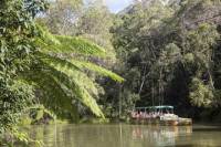 Kuranda Day Trip from Cairns by Scenic Railway and Skyrail Including Army Duck Rainforest Tour