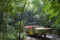 Kuranda Highlights including Rainforestation Aboriginal Culture and Wildlife