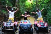 Kuranda Rainforest ATV or Argo Tour