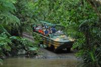Kuranda Rainforestation Nature Park