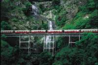 Kuranda Village Day Trip from Cairns With Optional Scenic Railway and Skyrail