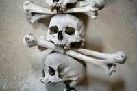 Kutna Hora Day Trip from Prague