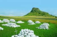 Kwa-Zulu Natal Battlefields Day Tour from Durban
