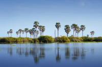 Lago Enriquillo and Isla Cabritos National Park Day Trip from Santo Domingo