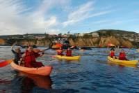 Laguna Beach Kayak Tour with Sea Lion Viewing