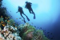 Lanzarote Scuba Diving Experience for Beginners