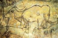 LASCAUX II and The Art of the Caves