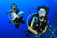 Learn to Dive PADI Open Water Diver Course
