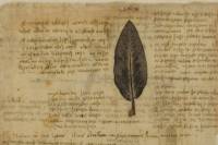 Leonardo da Vinci's Codex Atlanticus Admission in Milan
