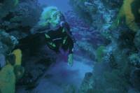 Los Cabos Shore Excursion: Customized 2-Tank Dive