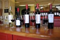 Luján de Cuyo Wine-Tasting Tour from Mendoza