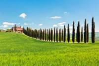 Luxury Tuscan Villa Experience Including Lunch and Wine Tasting