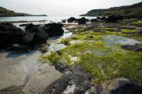 Magical Mull, Iona and the West Highlands Isles