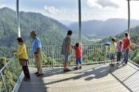 MaMu, Misty Mountains and Wooroonooran National Park Full-Day Tour