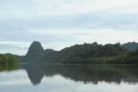 Mangrove River Cruise and Swimming Tour from Langkawi